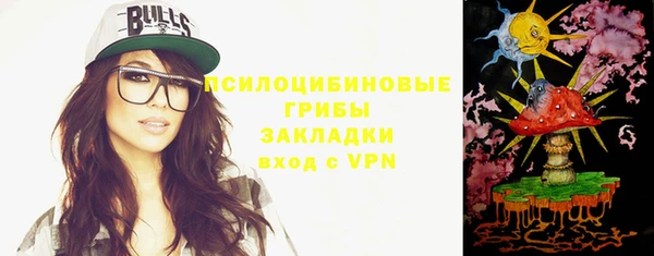 индика Аркадак