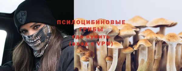индика Аркадак