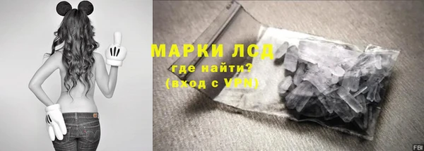 индика Аркадак
