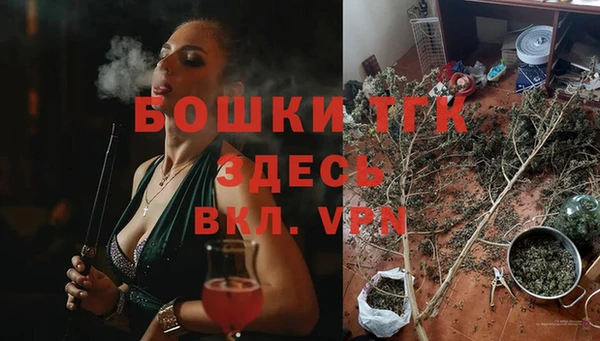 индика Аркадак