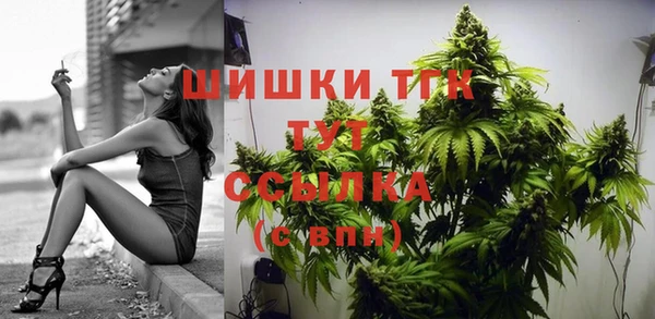 индика Аркадак