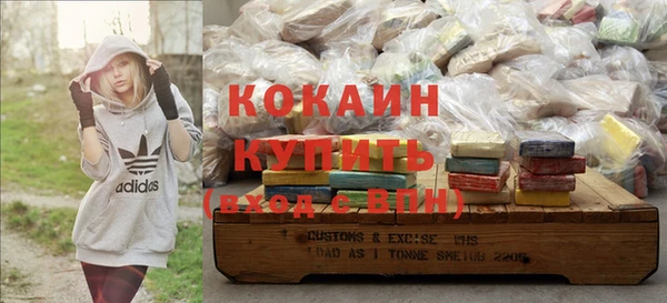 индика Аркадак