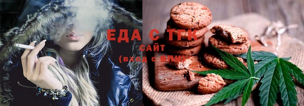 индика Аркадак