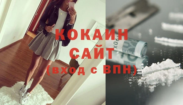 индика Аркадак