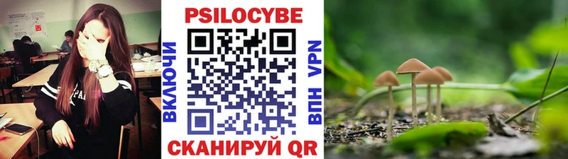 Галлюциногенные грибы мухоморы  ОМГ ОМГ ТОР  Могоча 