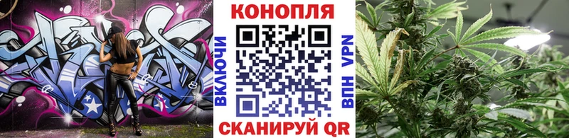 Шишки марихуана гибрид  darknet состав  Могоча  закладки 